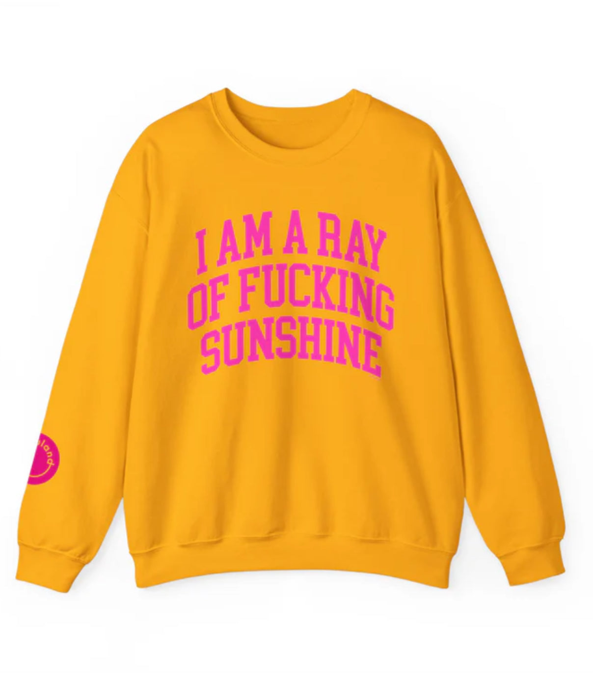 I Am A Ray of F*cking Sunshine Sweatshirt - Preorder